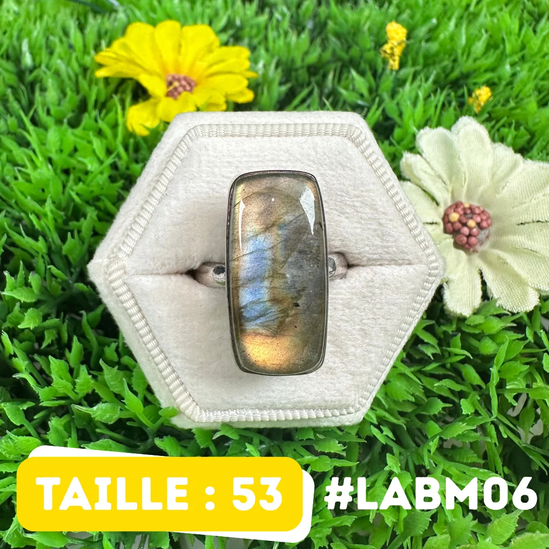 Bague Argent Labradorite Multifire Saldi Straordinari Offerte Speciali Disponibili Adesso