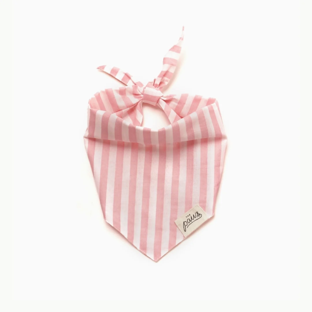 Bandana à Rayures - Rose - Saldi Straordinari – Offerte Speciali Disponibili Adesso Pierre Frey Le Manach | Tissus Rayure malmaison - Bleu (L3537001)