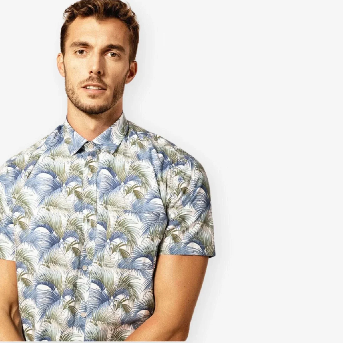 Chemise Manches Courtes En Popeline Fantaisie Plantes - Uomo E-shop mondial – Produits durables, modernes et accessibles partout